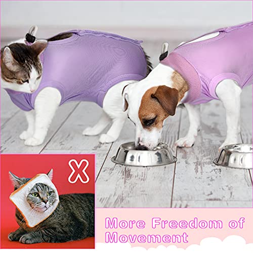 Traje de recuperación de gato de 3 piezas, traje de recuperación de gatito, collar electrónico alternativo para gatos y perros, traje de pijama anti lamer piel abdominal