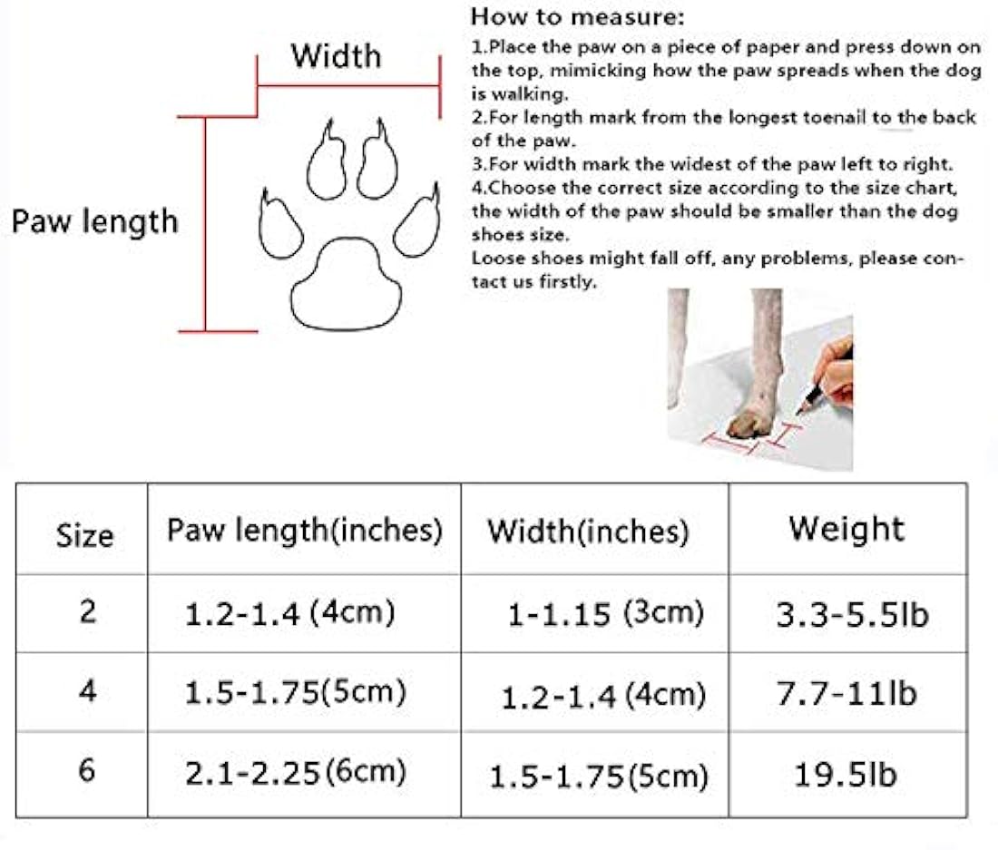 Botas protectoras para perro