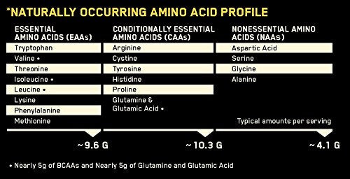 Proteína sabor a vainilla 2 libras