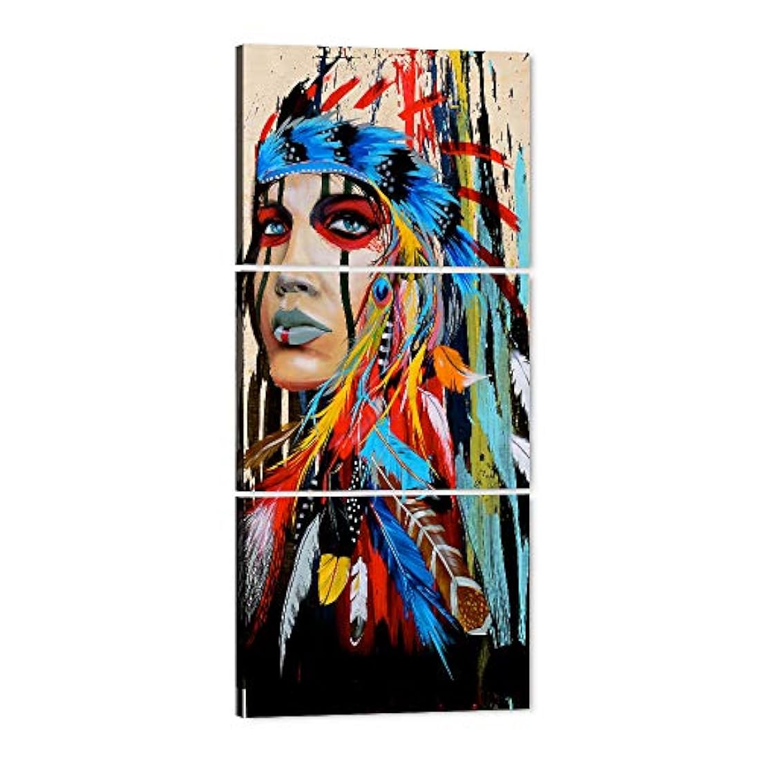 Pintura niña nativo americano con plumas