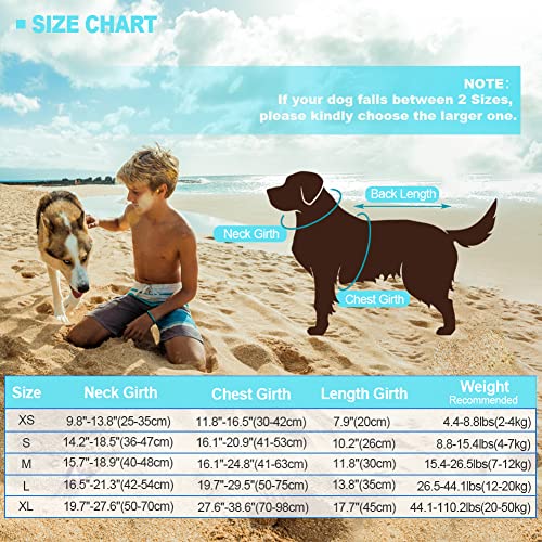 EMUST Chaleco salvavidas para perro, chaleco salvavidas Ripstop con mango de rescate para perros pequeños, medianos y grandes, protector de baño de seguridad para mascotas, para piscina, playa, canotaje (XS, azul piscina)