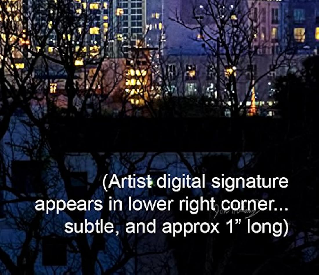 Póster cuadro decorativo tema foto houston