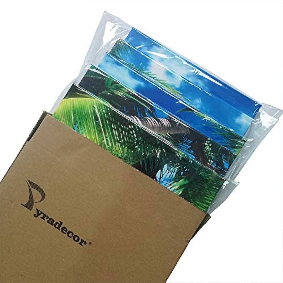 Lienzo decorativo (5 piezas, enmarcado y estirado)