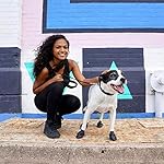 Botas para perros, impermeables, L, Negro