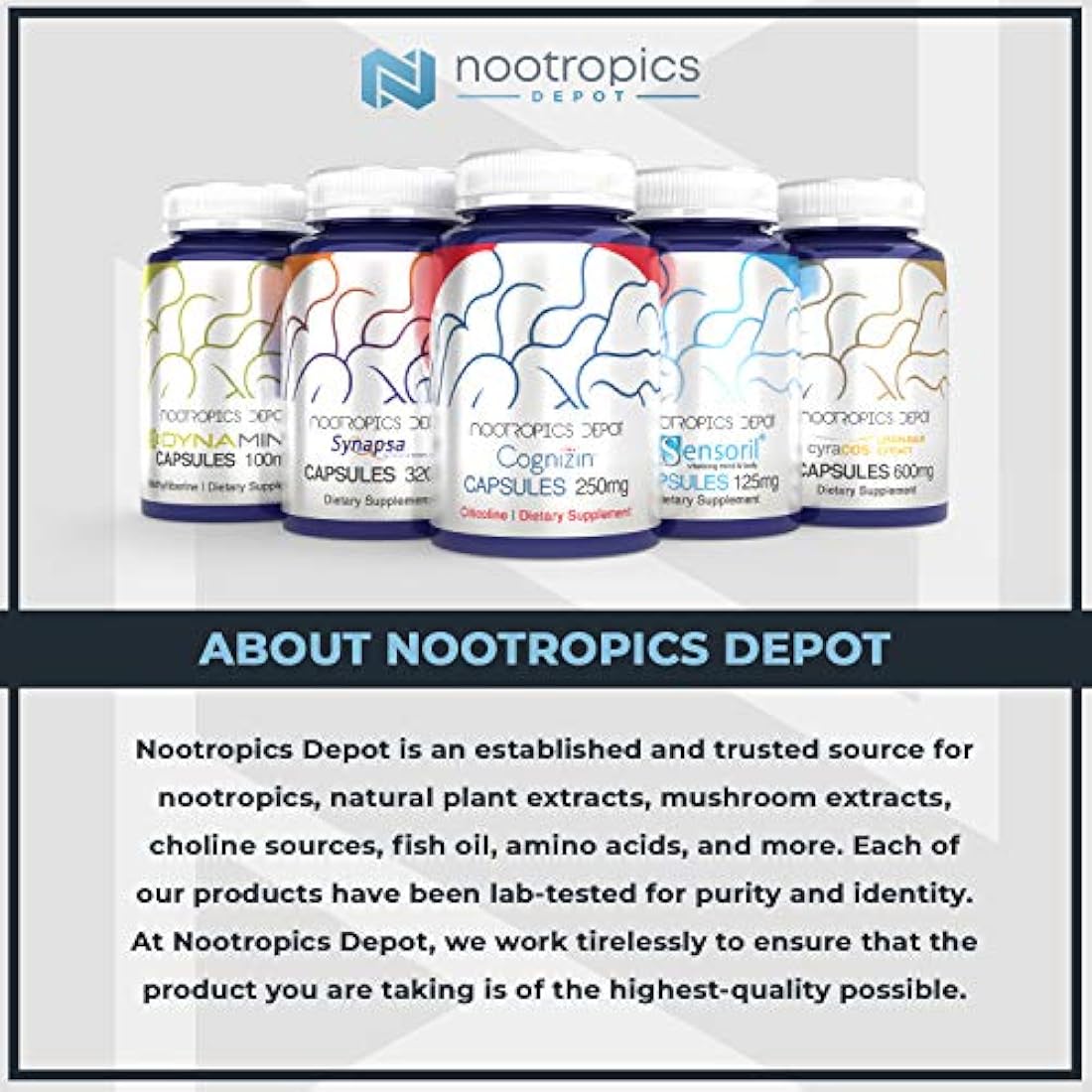 Alpha GPC 150mg Cápsulas | Suplemento de colina | Apoya la función cerebral saludable, 1