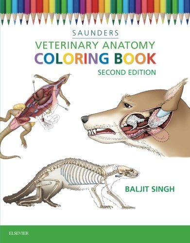 Libro de colorear de anatomía veterinaria - Para niños