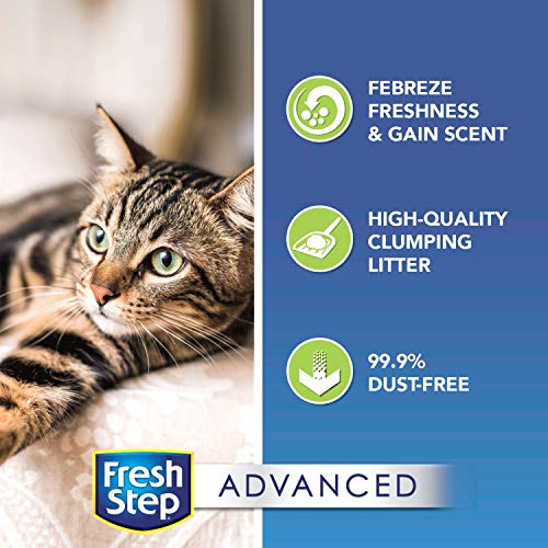 Fresh Step Advanced Cat Litter, Clumping Cat Litter, 99.9% Dust-Free, Gain Scent, 37 lbs Total ( 2 Pack of 18.5 lb Boxes)