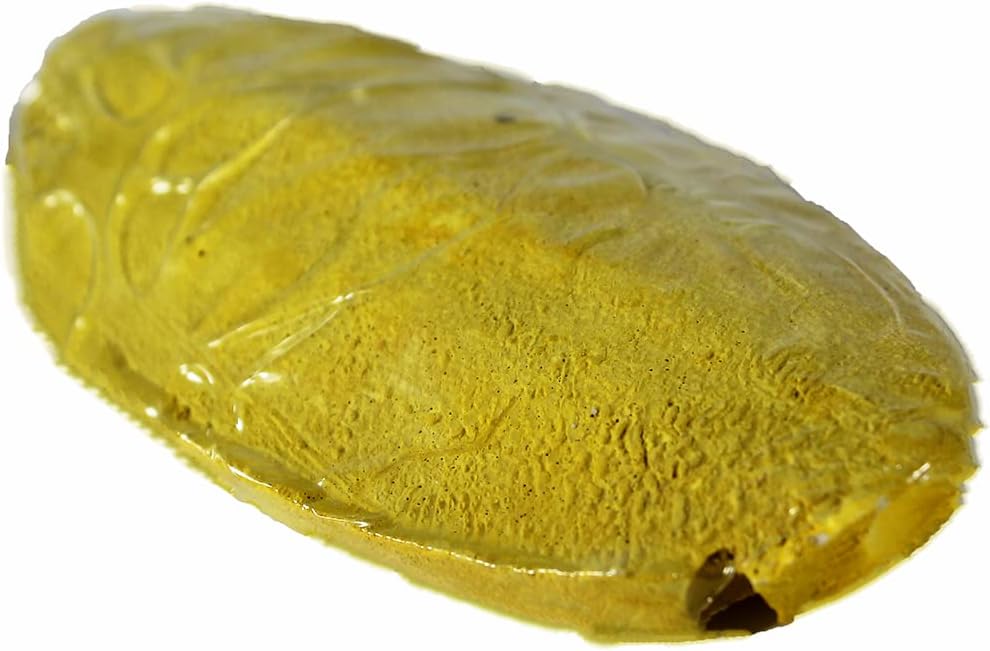 Alimento con sabor a mango y plátano ideal para las aves