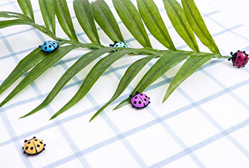 TabEnter Imanes decorativos para refrigerador perfectos