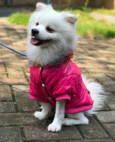 LESYPET Abrigo de invierno cálido para perro acolchado