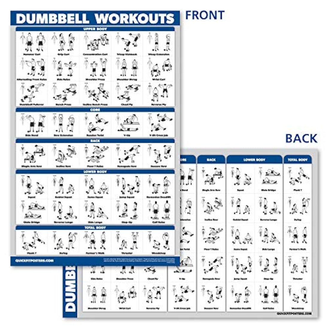 Póster de entrenamiento de mancuernas de Palace Learning