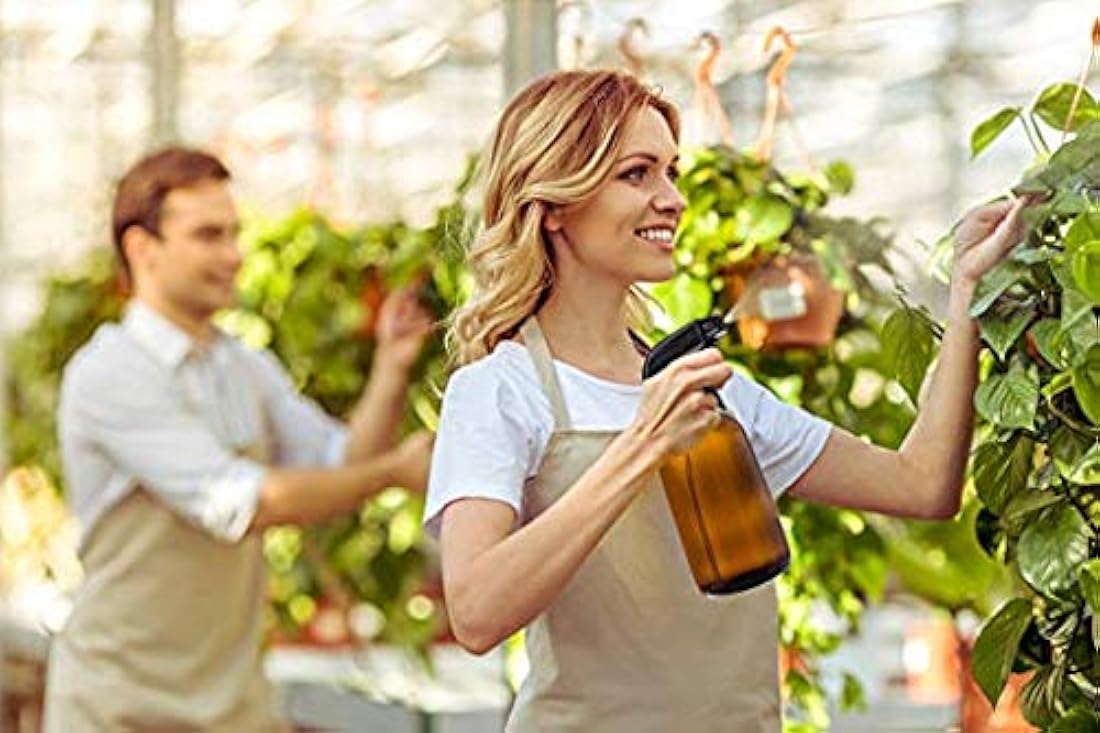 American Health Klamath Shores Cápsulas de algas verde azul