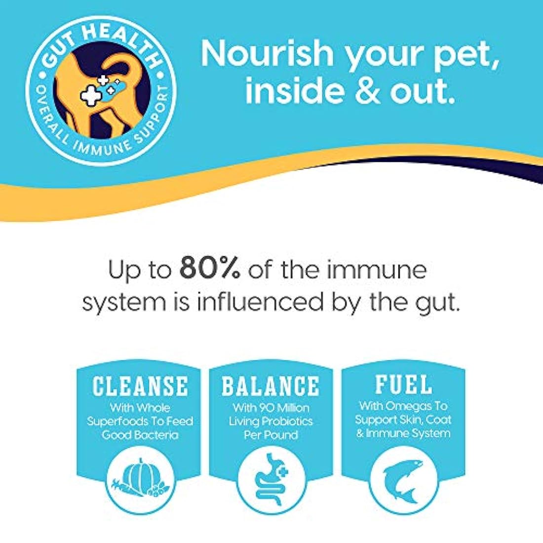 Comida seca sólida para gatos