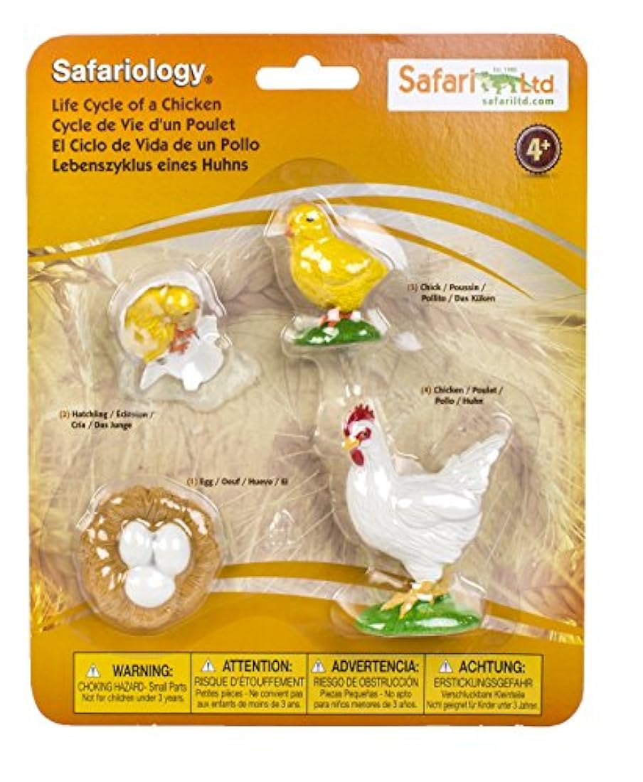 Safari Ltd - el ciclo de vida de un pollo