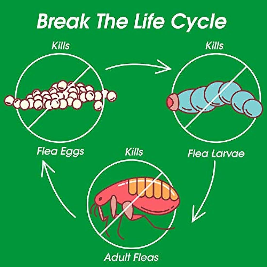 Frontline Plus Tratamiento contra pulgas y garrapatas