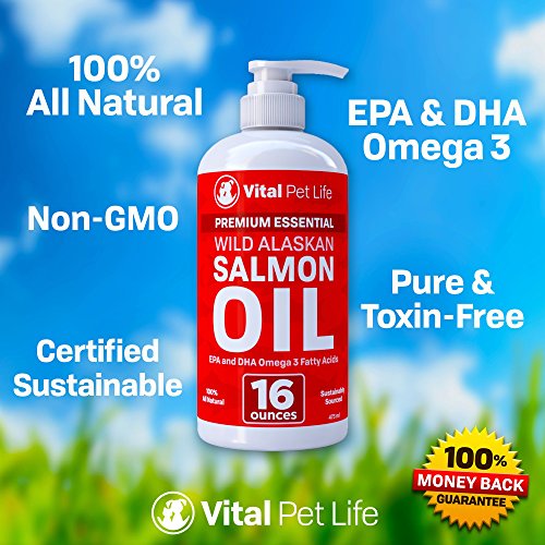 Aceite de salmón para perros gatos y caballos