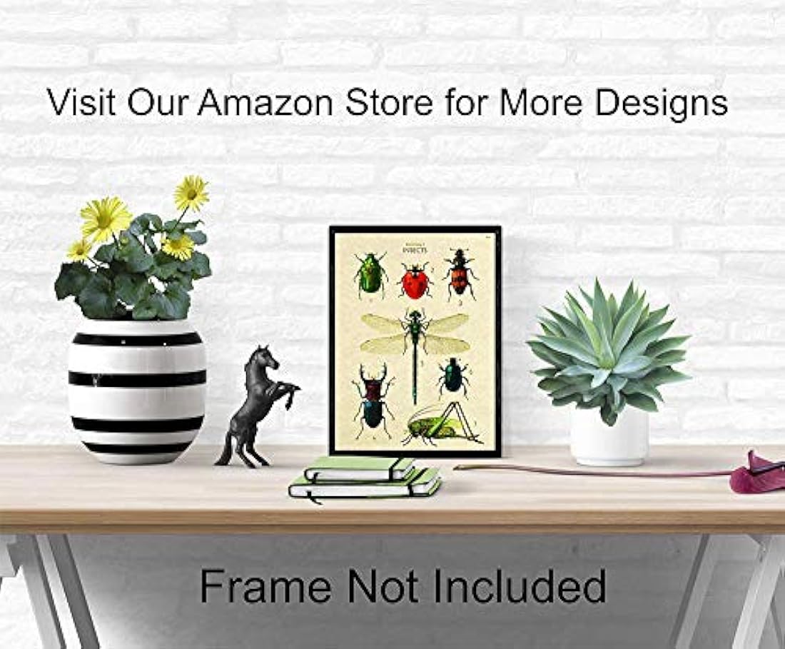 póster de arte de pared 8x10 póster de error científico