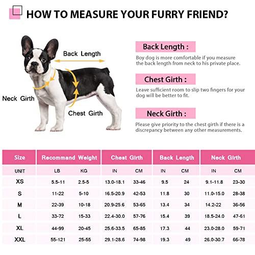 Queenmore Chaleco salvavidas Ripstop ajustable