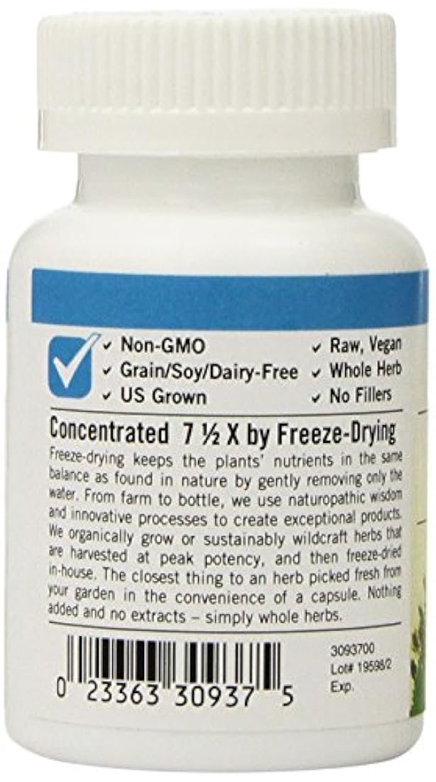 Ortigas congeladas Eclectic Institute