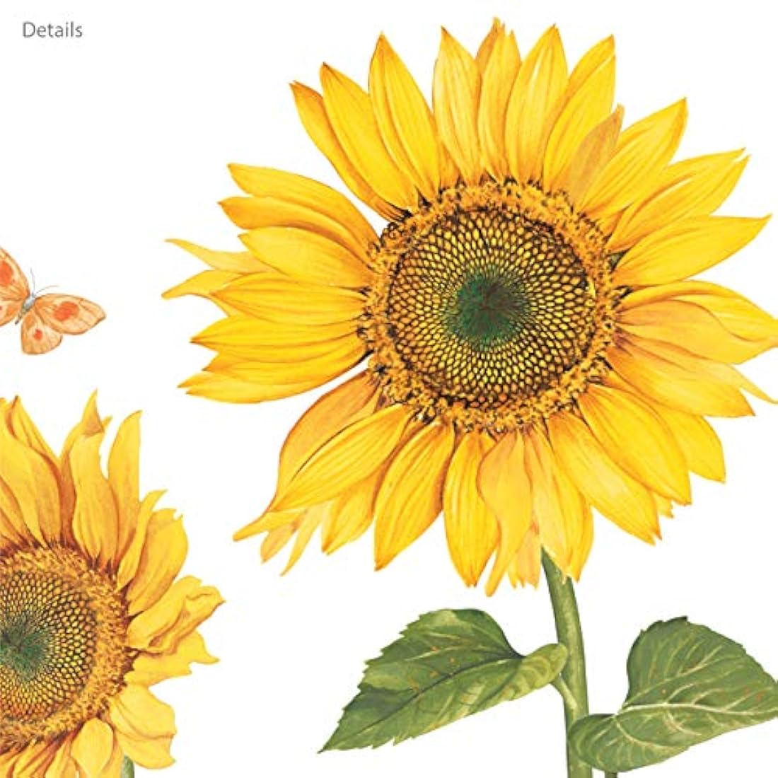 Pegatinas de pared para niños diseño de girasoles