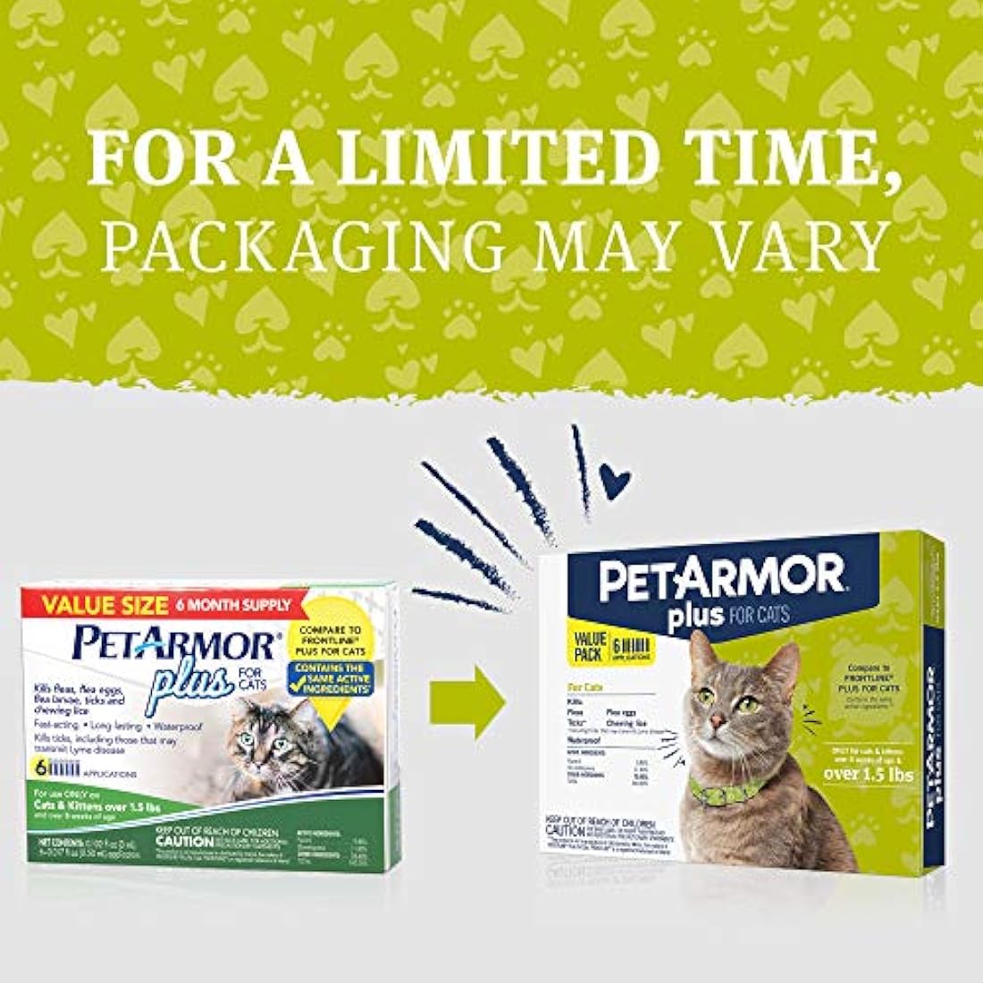 Prevención de pulgas y garrapatas para gatos