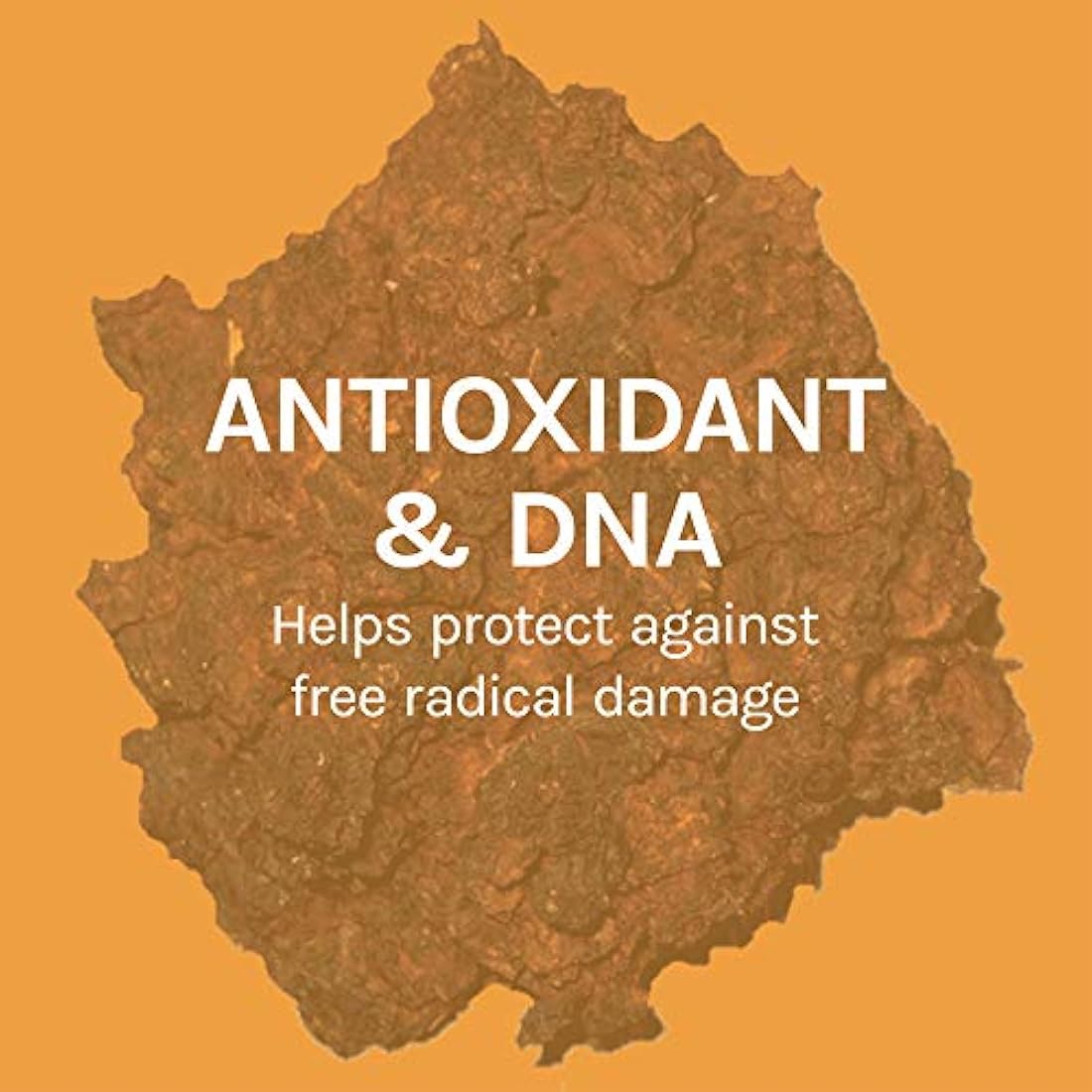 Host Defense Extracto de Chaga Antioxidante y Soporte de ADN