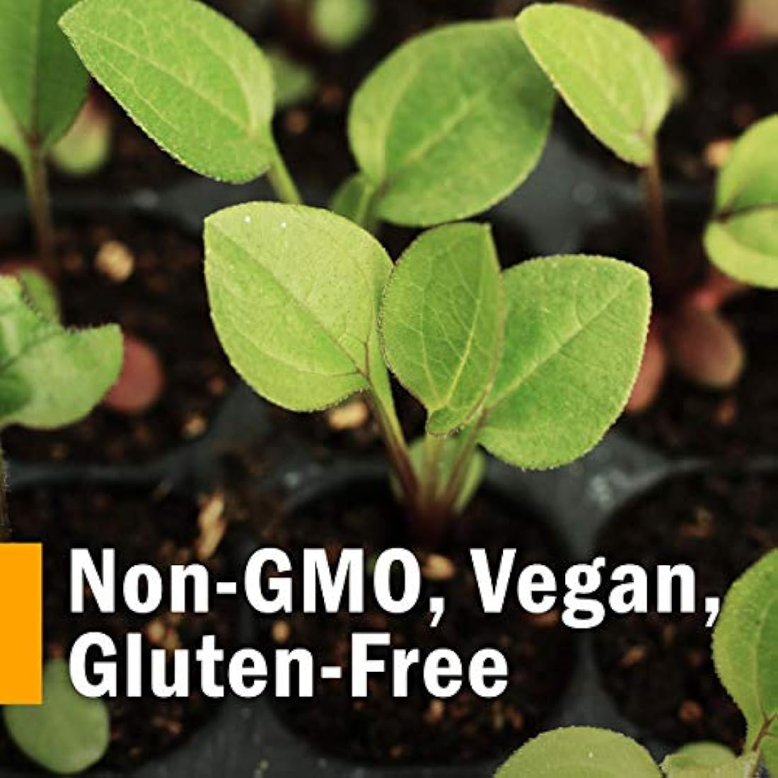 zacate Pharm PMS Comfort Fórmula Herbal para apoyo