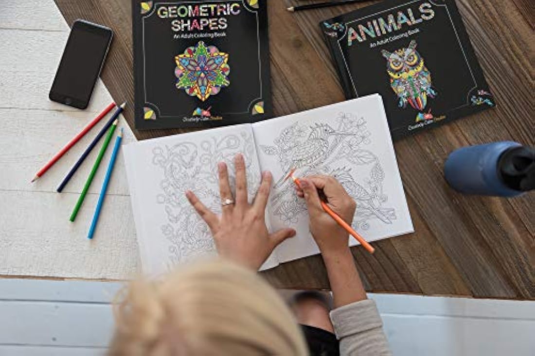 Set de libro de adultos para colorear