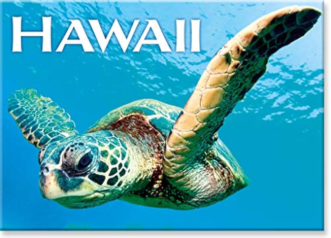 Imán para nevera Hawaii - Hello Turtle Honu Ocean