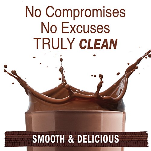 Polvo de proteína vegana orgánica con vitaminas y probiótico