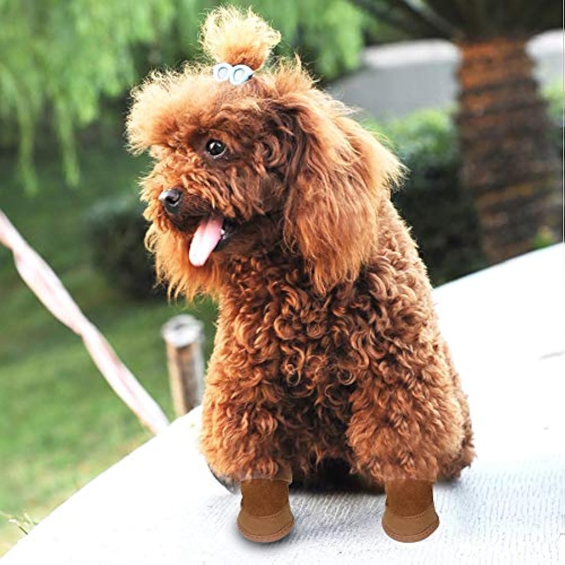 Botas antideslizantes para perro