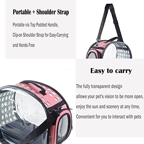 TRANSPORTADOR de conejillos de Indias, portador de hámster, portátil, transpirable, bolsa de transporte transparente para conejito, erizo, marten, transportador de animales pequeños (negro)