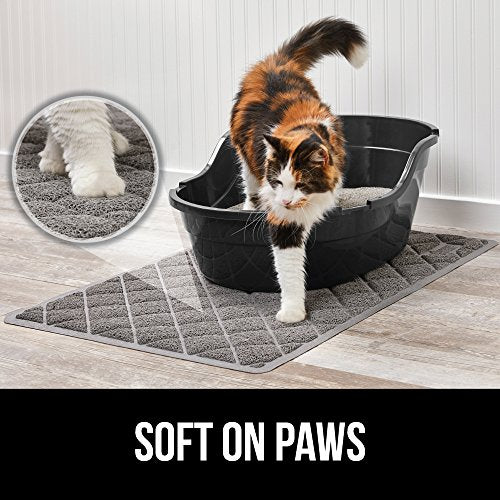 trampas de arena de la caja y los gatos