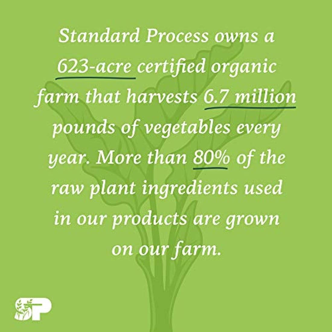 Estándar proceso – Colágeno C – 90 Tabletas