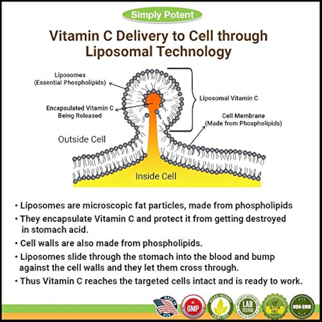 Vitamina Liposomal C 1200mg 180 Cápsula Alta dosis