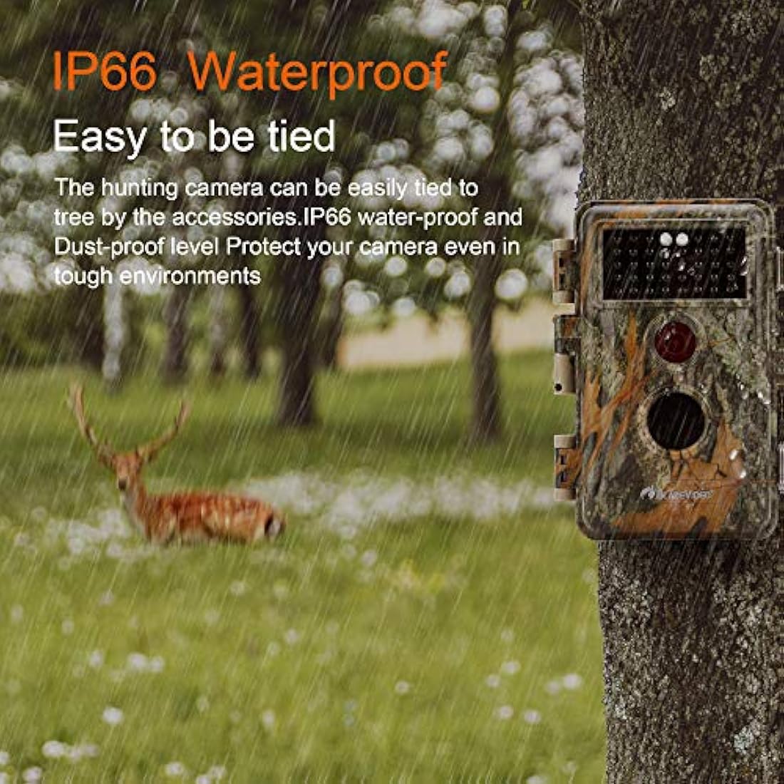 BlazeVideo 16 MP HD sin brillo infrarrojo Flash Scouting