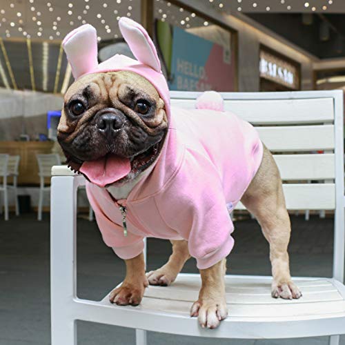 iChoue - Disfraz de conejito para perro, para el día de Halloween, otoño, suéter lindo y divertido para clima frío, abrigos de invierno, sudaderas con capucha, ropa pequeña y mediana para cachorros Bulldog francés, Pug, Pitbull y Corgi, talla L Plus