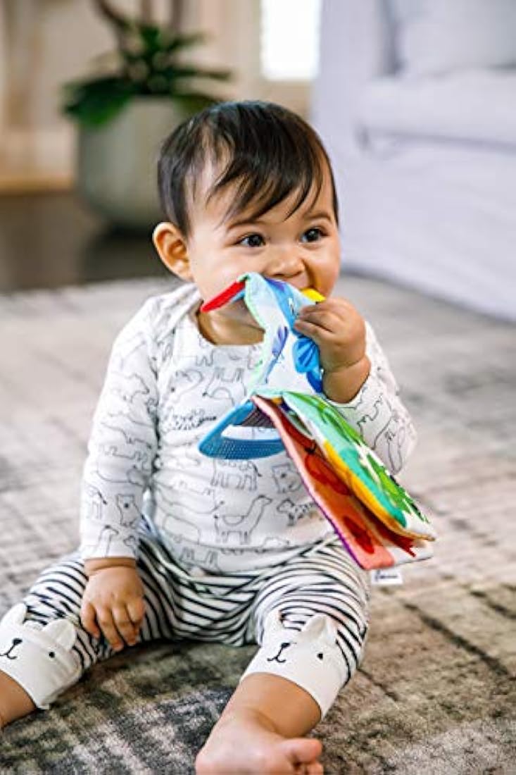 Baby Einstein Curious Explorers Teether Book