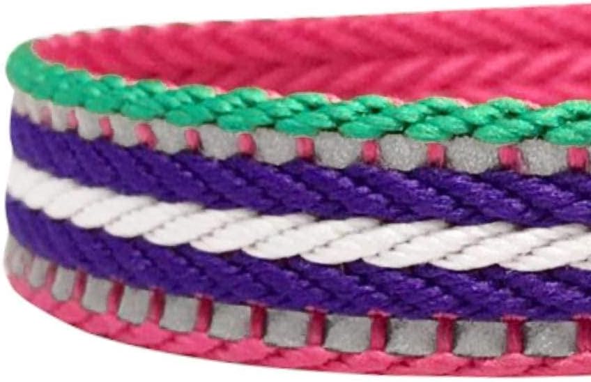 Correa Reflectante para Perros con Mango Suave - Talla Mediana