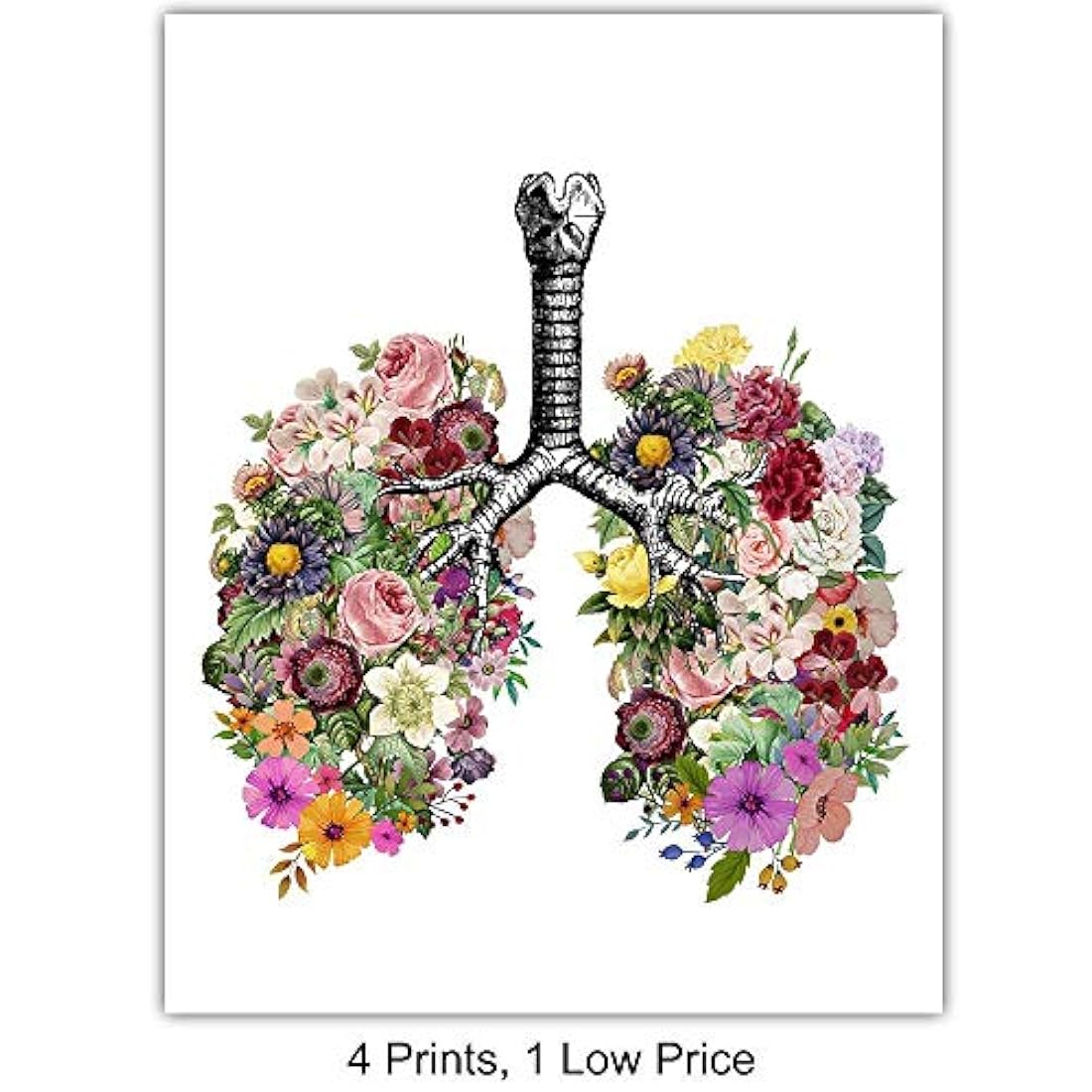 fotos sin marco -Corazón pulmones cerebro intestinos