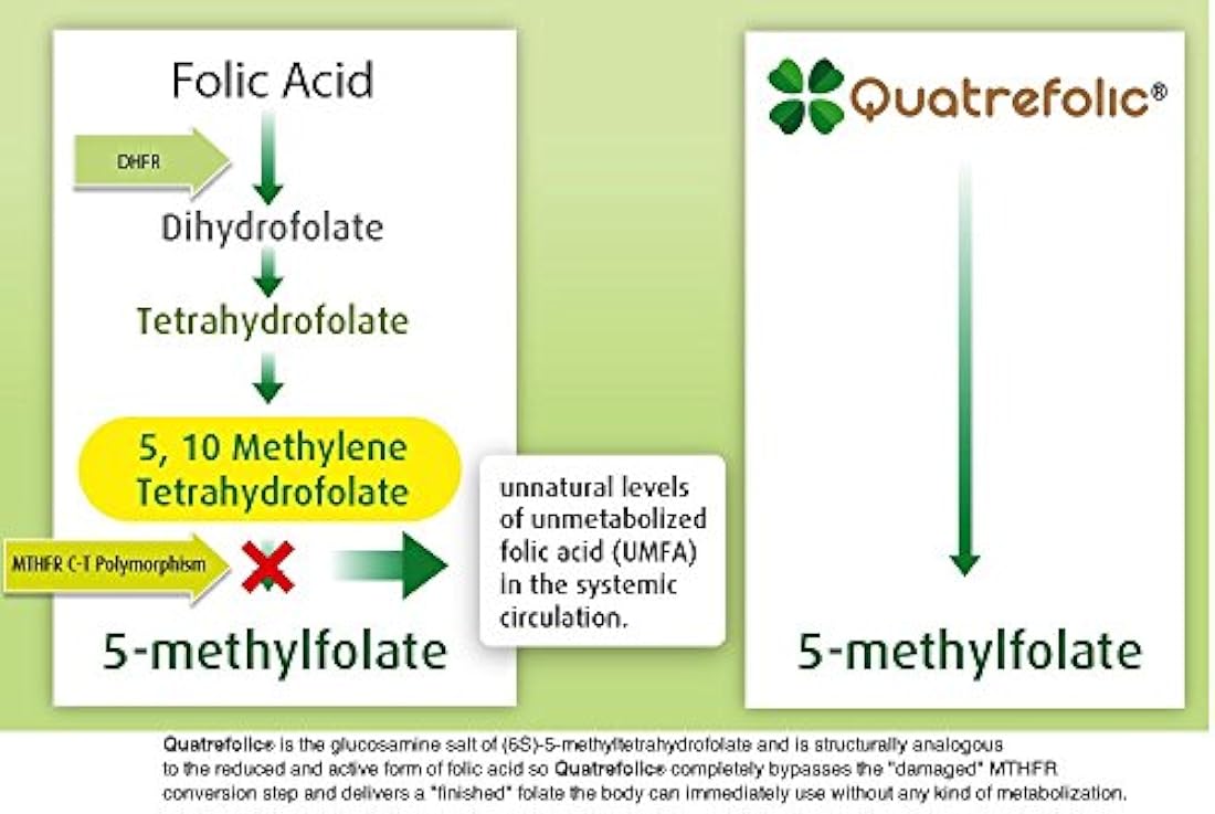 Cápsulas vegetales de Metilación óptima Suplemento de apoyo