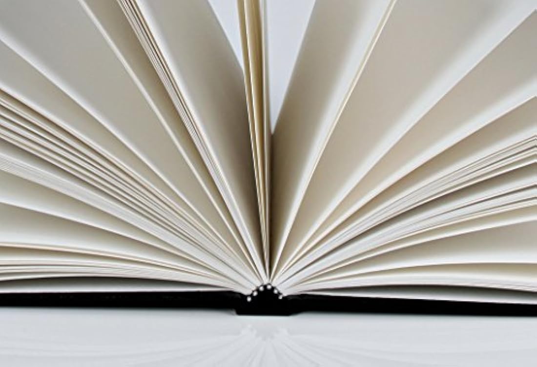 Artist Series libro de bocetos