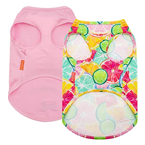 KYEESE Paquete de 2 camisas para perros