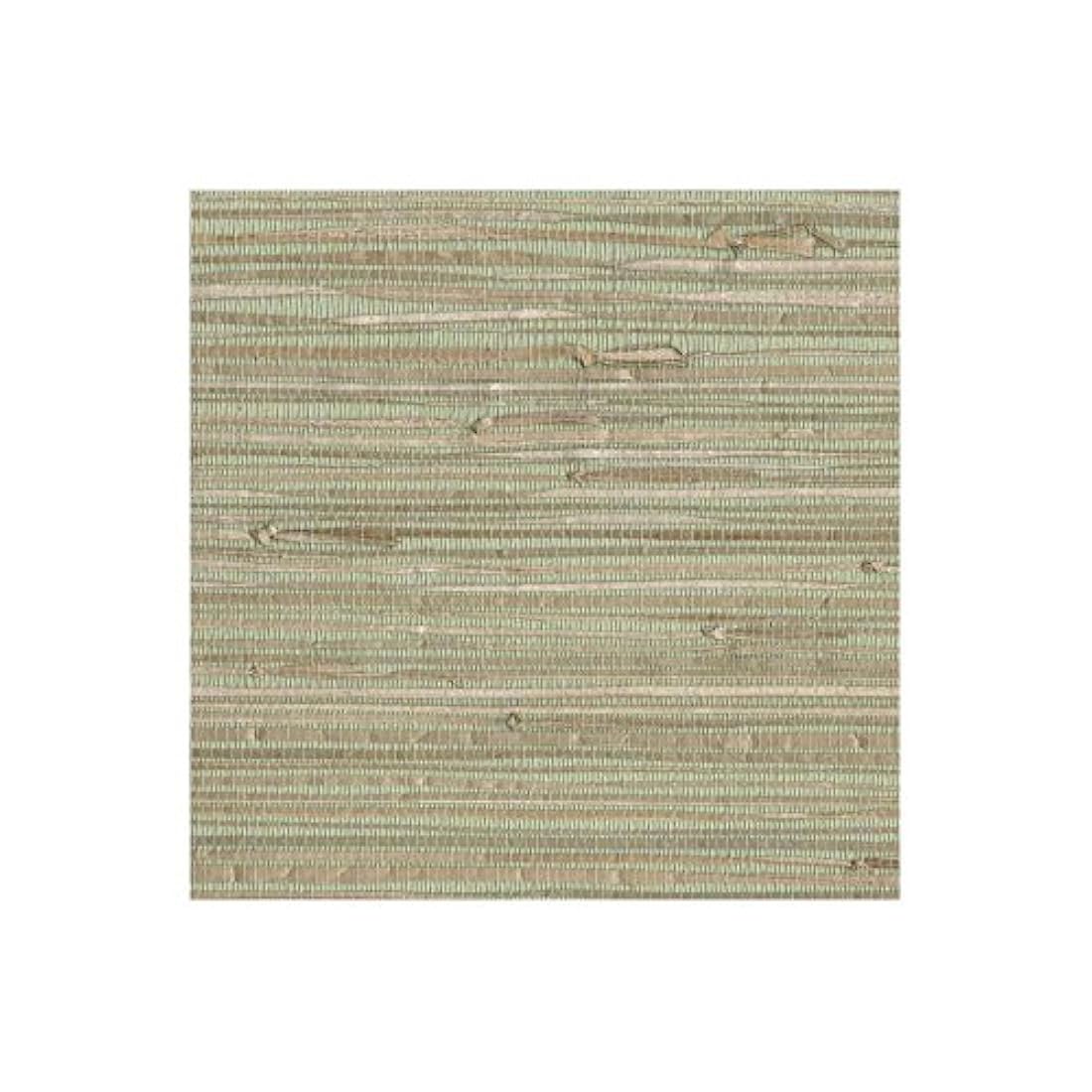 Papel pintado, diseño de hierba, NZ0781,fibras naturales