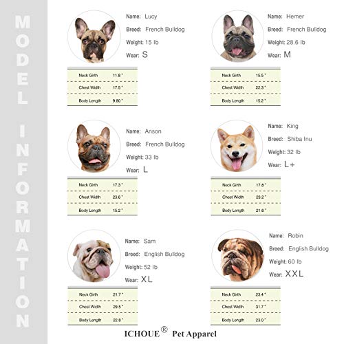 iChoue - Disfraz de conejito para perro, para el día de Halloween, otoño, suéter lindo y divertido para clima frío, abrigos de invierno, sudaderas con capucha, ropa pequeña y mediana para cachorros Bulldog francés, Pug, Pitbull y Corgi, talla L Plus