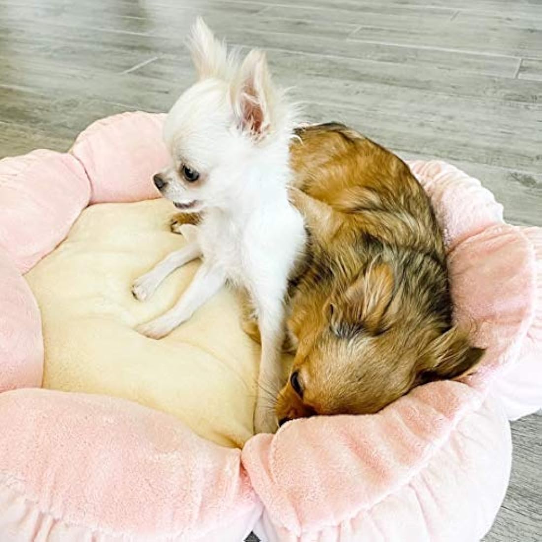 Cama de felpa suave de 61cm, perros y gatos, rosa pastel