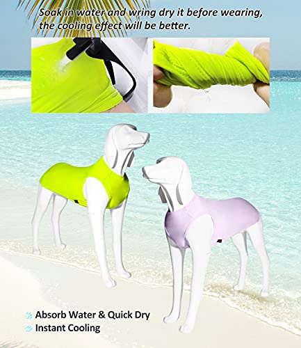 Paquete de 2 Camisas refrescantes para perros, ropa para perros instantáneos, ultra ligeras, transpirables, sin mangas, para perros pequeños, cachorros, niñas, talla M