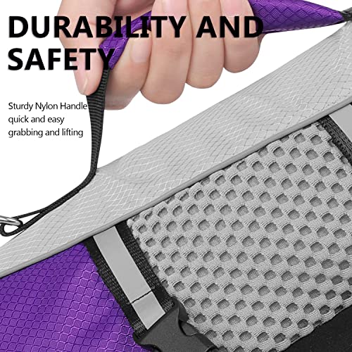 Queenmore Chaleco salvavidas para perro, ligero y reflectante