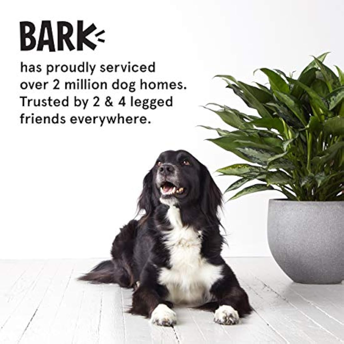 Cama de espuma viscoelástica para perro colchón de felpa