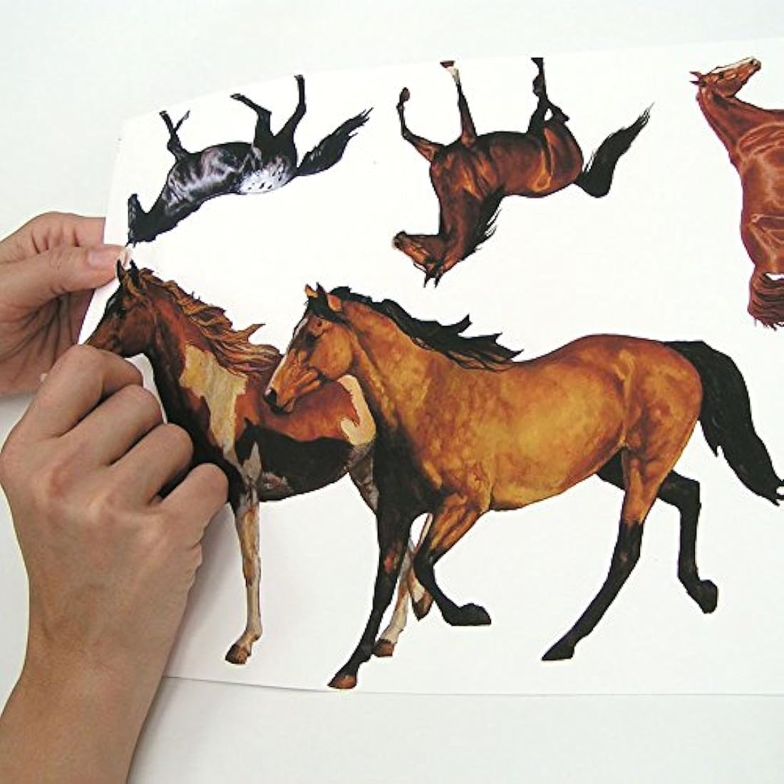 Adhesivo decorativo para pared diseño de caballos salvajes